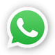 Scrivici su WhatsApp